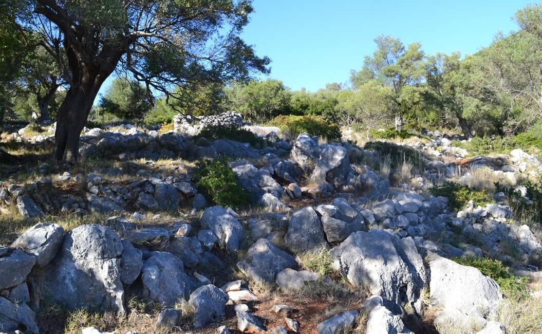 plot-evgiros-5500-10