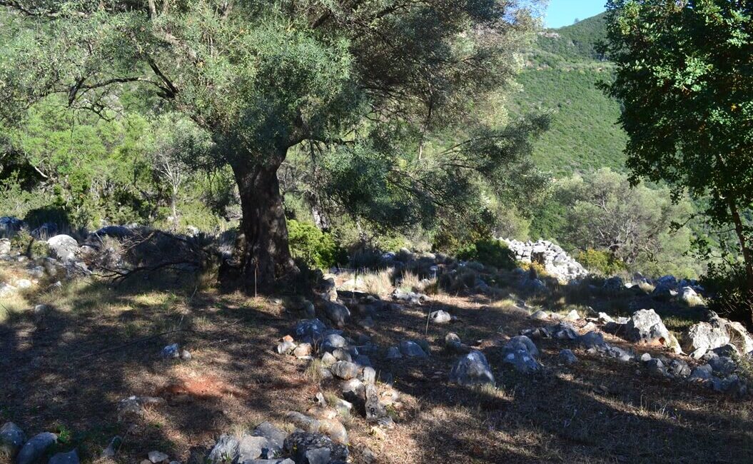 plot-evgiros-5500-14