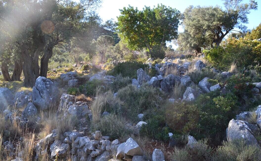 plot-evgiros-5500-7