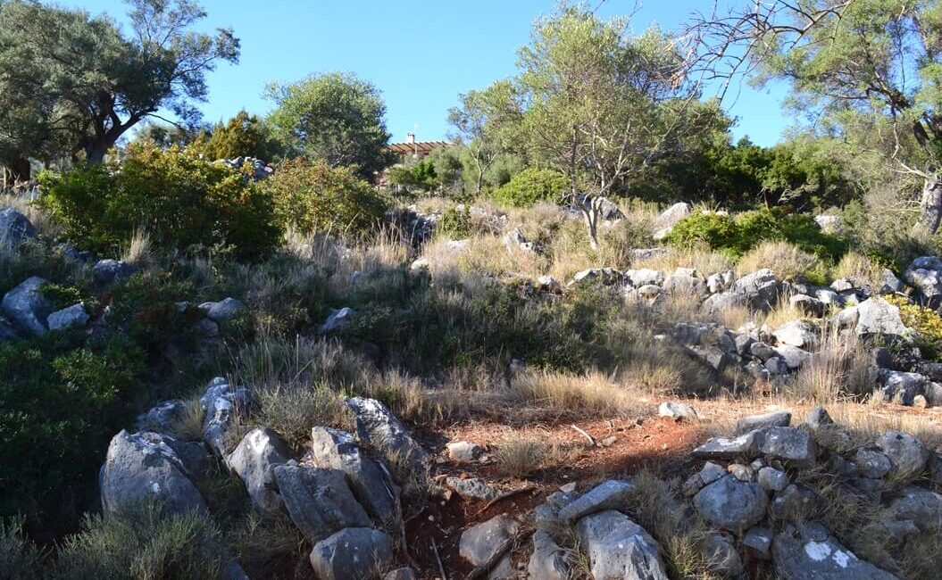 plot-evgiros-5500-8