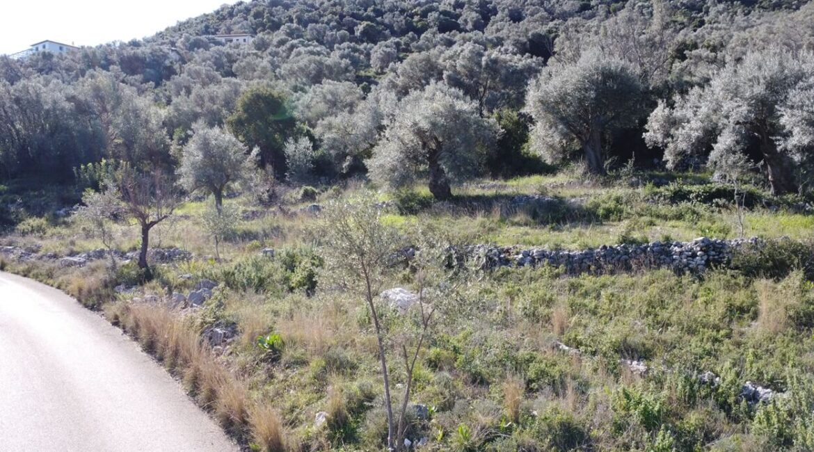 plot-sivota-2300m-9